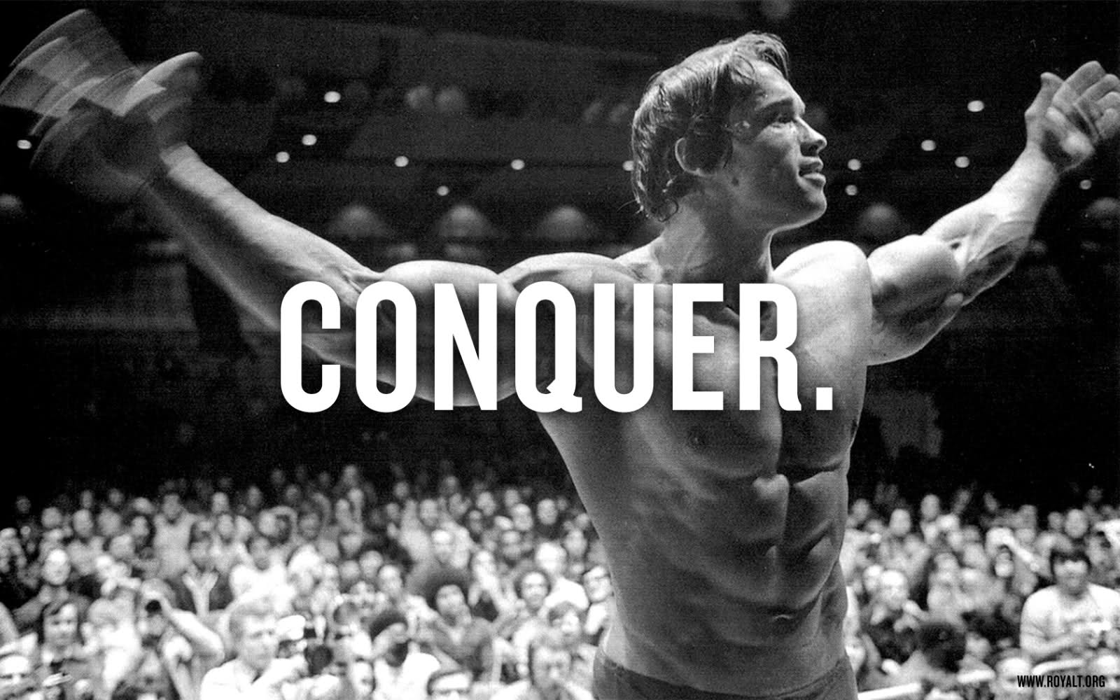 Bodybuilding Wallpapers HD 2015 Wallpaper Cave