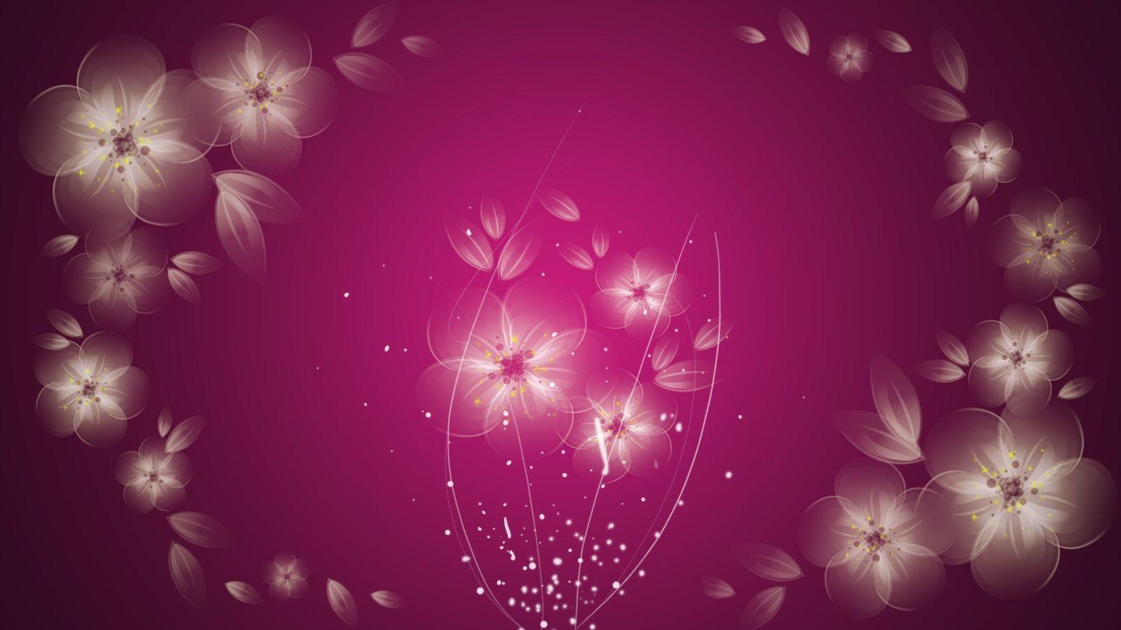 Pink Colour Backgrounds Wallpaper Cave