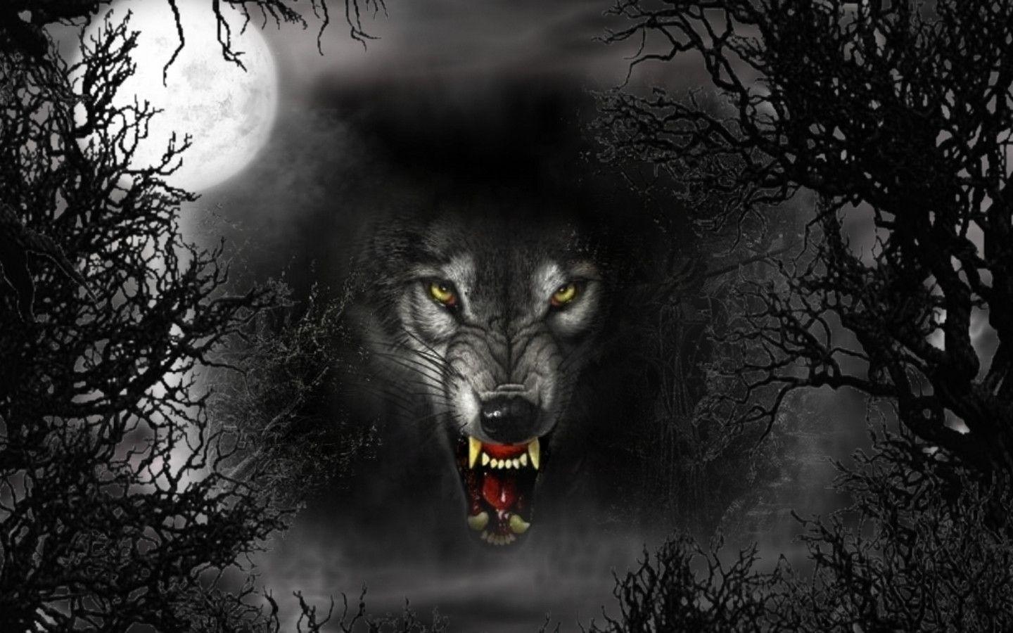Black Wolf Wallpapers Wallpaper Cave