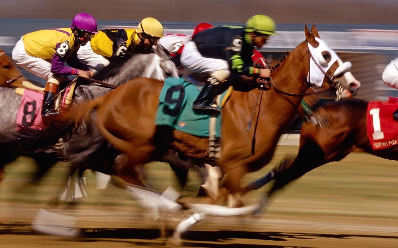 Horse Racing Wallpapers Wallpaper Cave