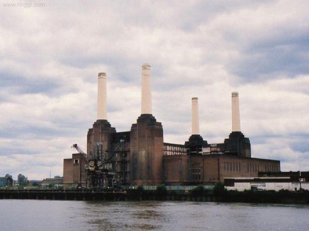 Pink Floyd Animals Wallpapers Wallpaper Cave