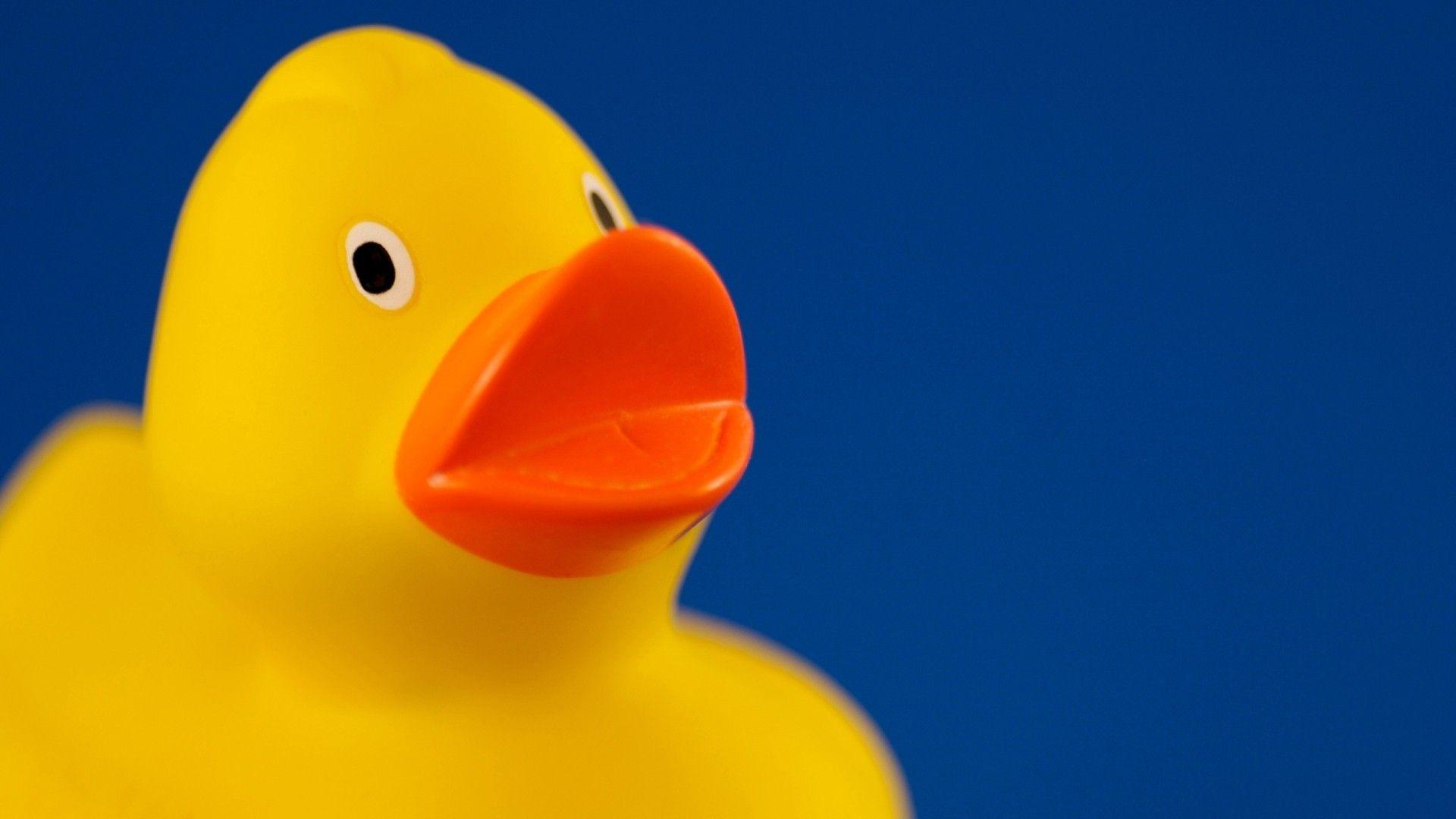 Rubber Ducky Wallpapers Wallpaper Cave