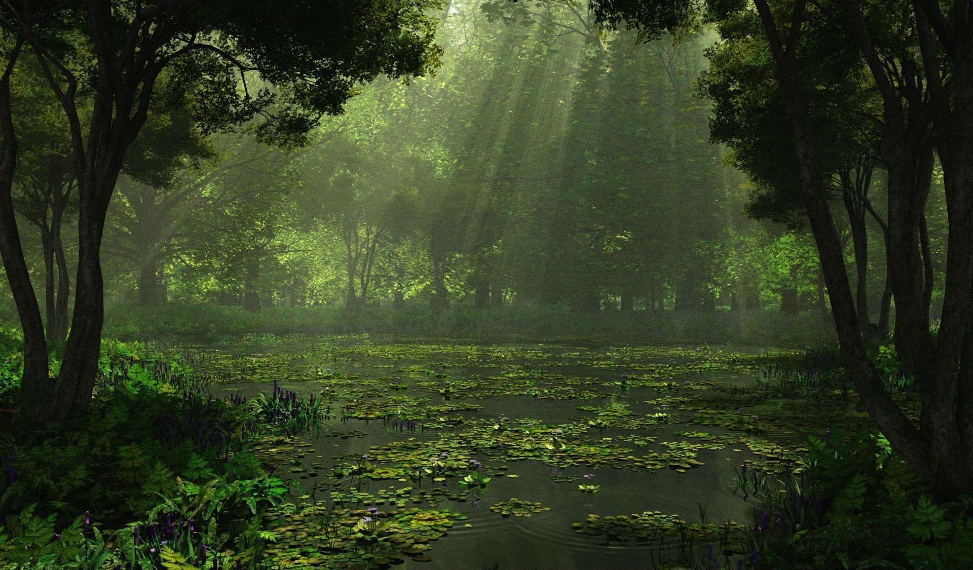 Swamp Backgrounds Wallpaper Cave