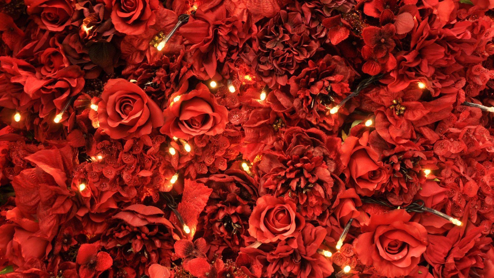 Red Roses Backgrounds Wallpaper Cave