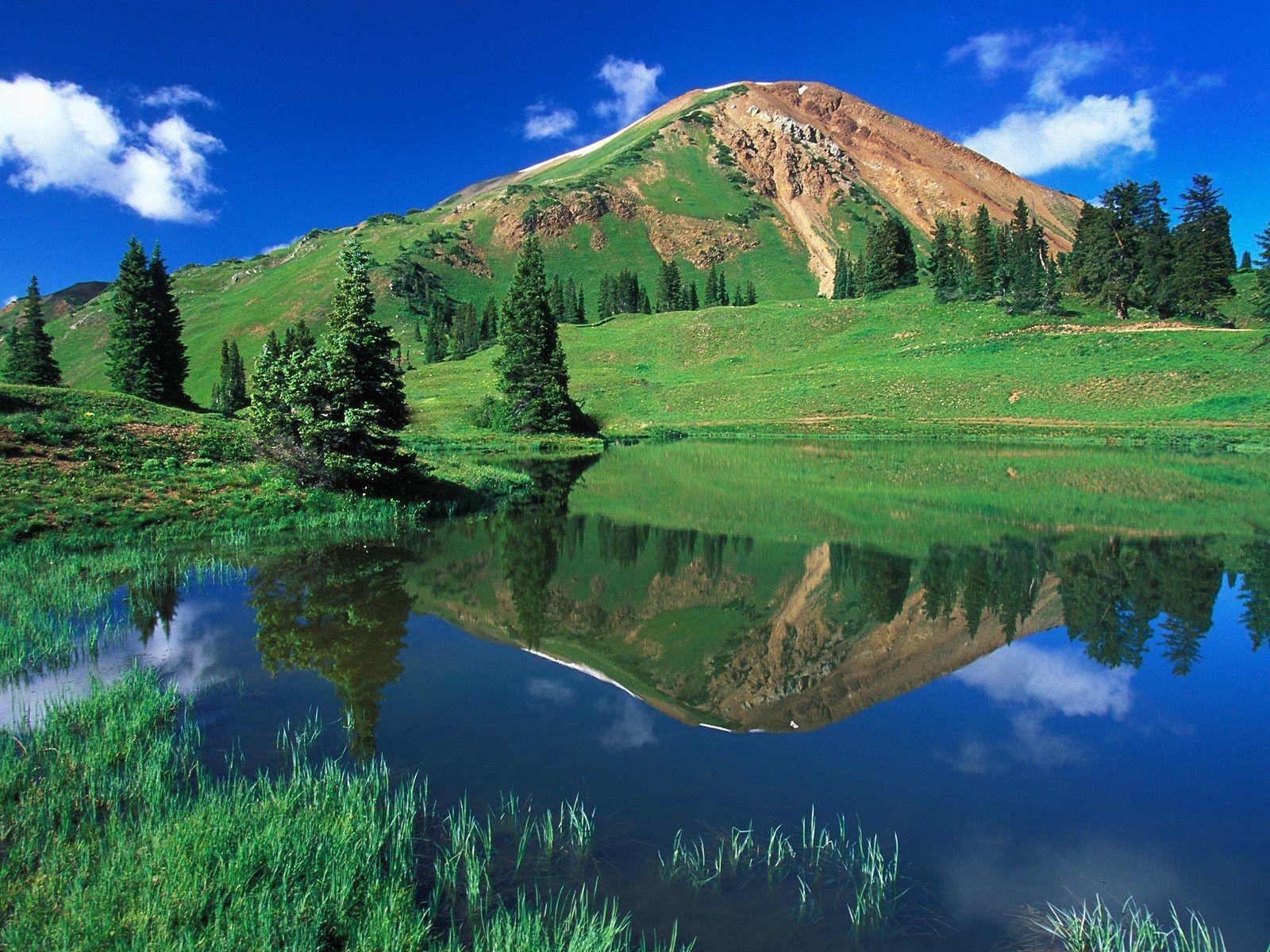 Latest Nature Wallpapers Wallpaper Cave