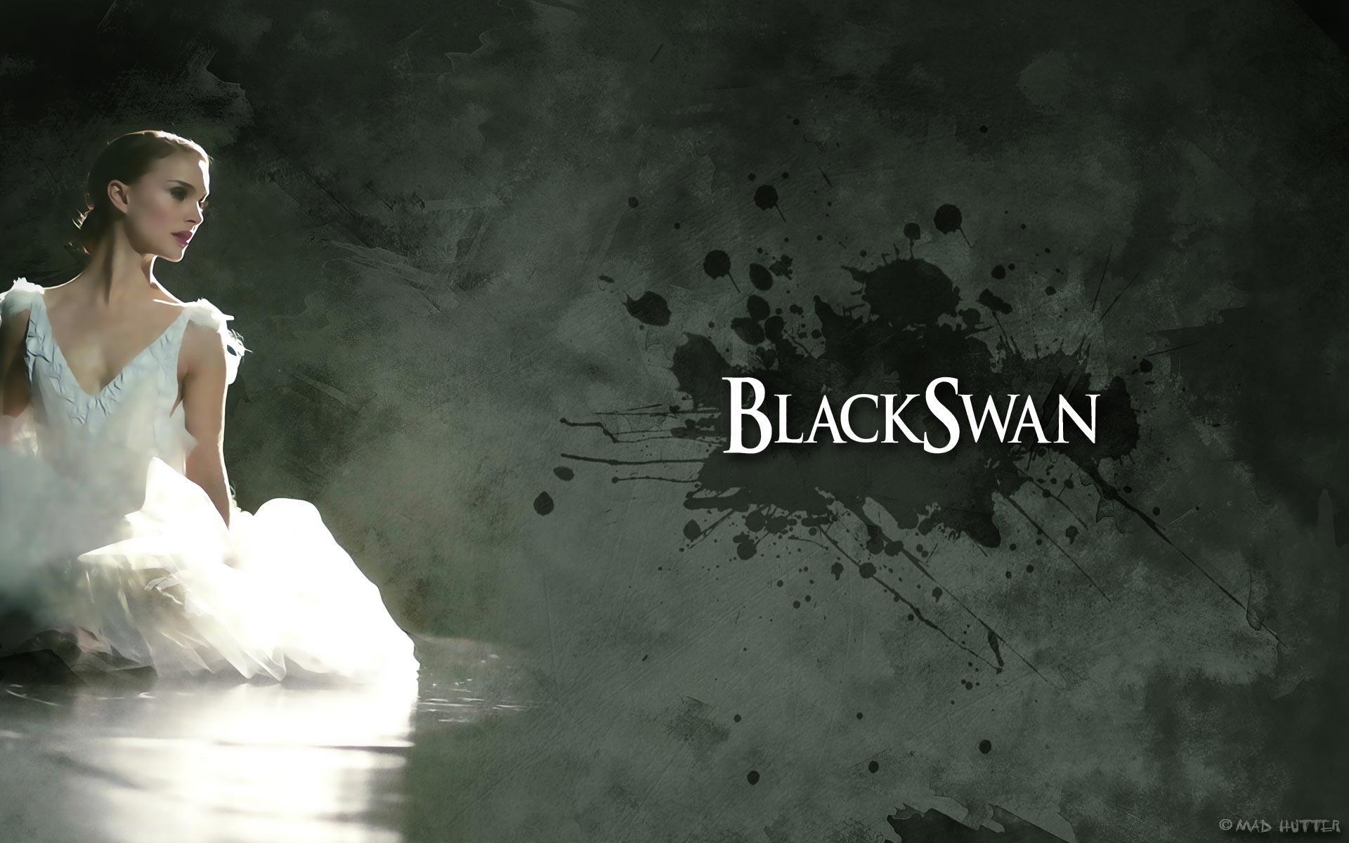 Black Swan Wallpapers Wallpaper Cave