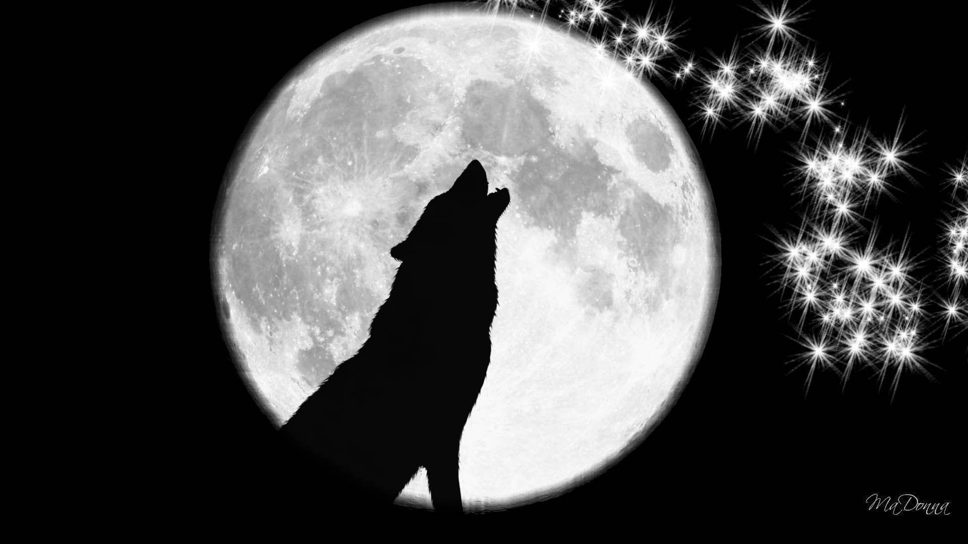 Wolf Howling At The Moon Wallpapers Wallpaper Cave