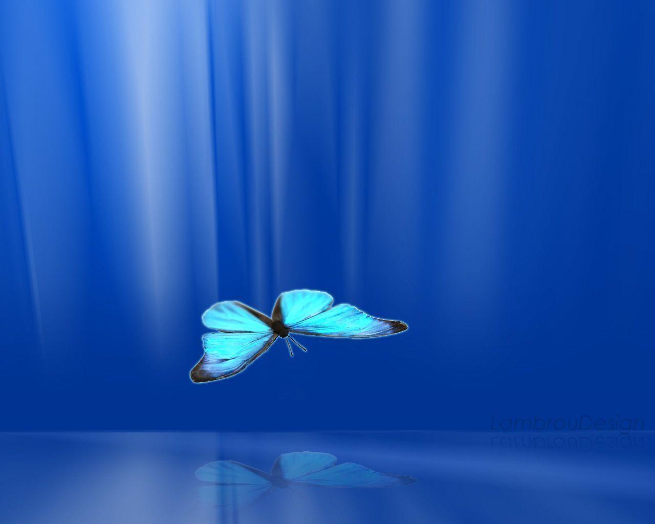 3D Butterfly Wallpapers Wallpaper Cave