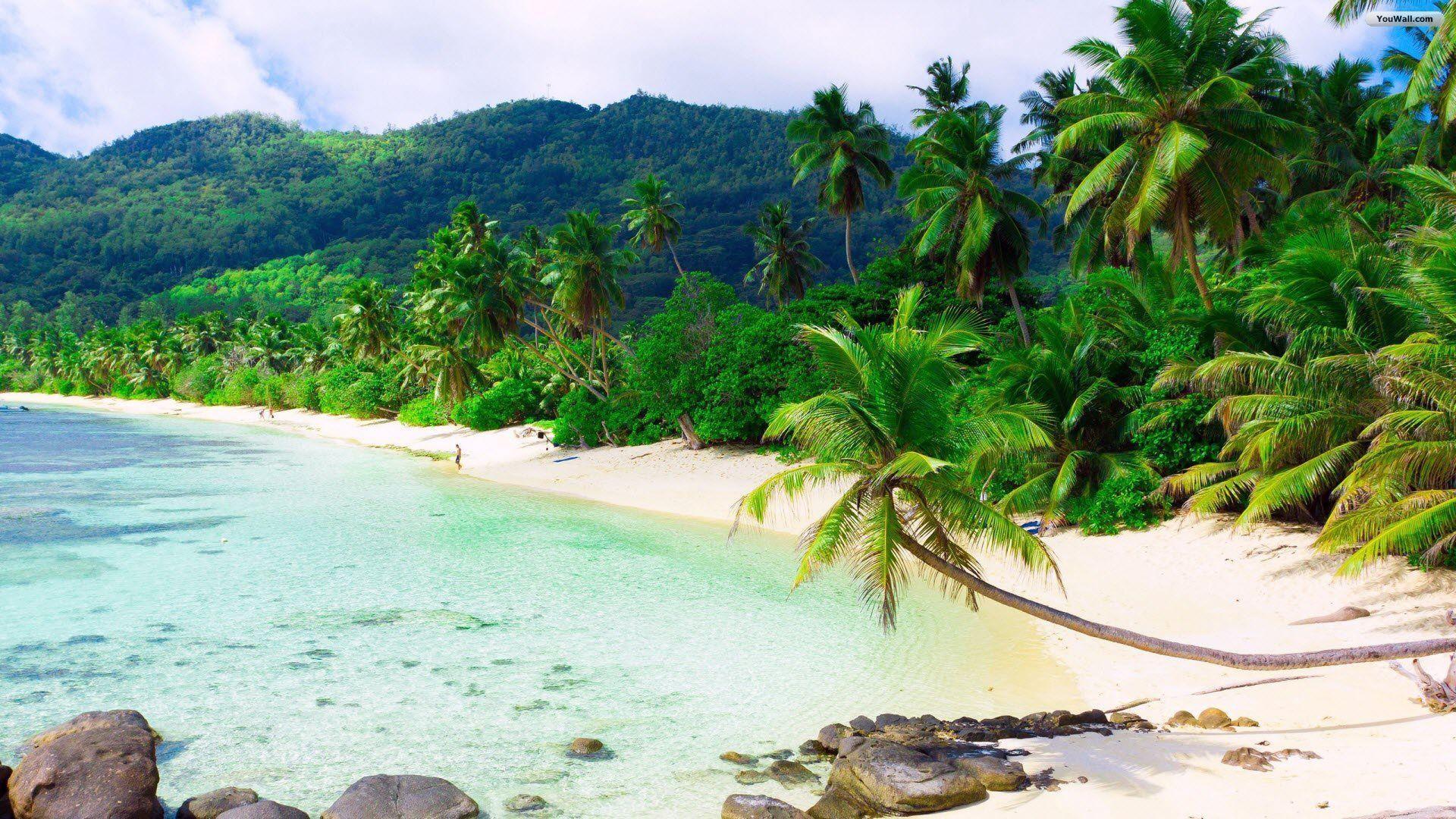 Beautiful Beaches Wallpapers Wallpaper Cave