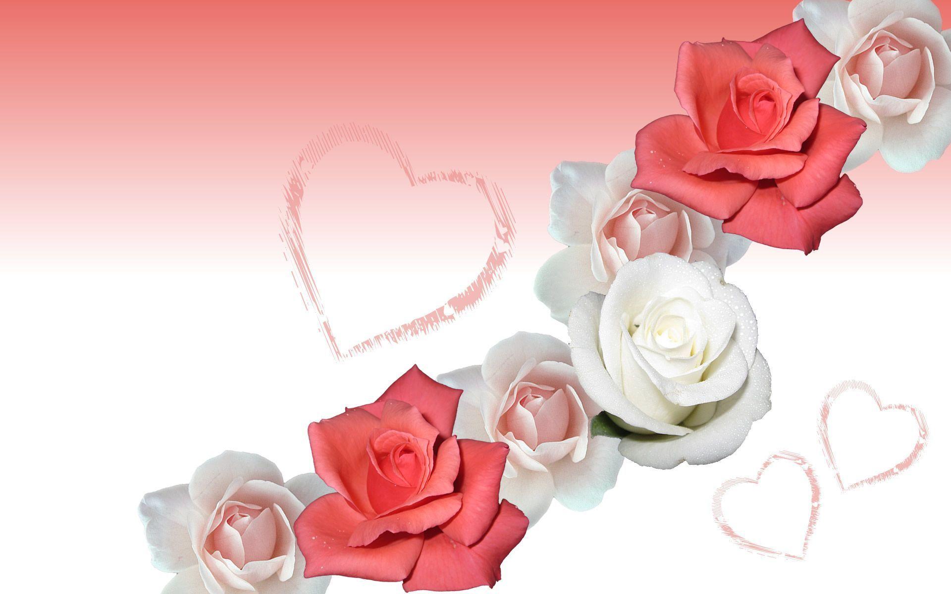 Rose Flower Backgrounds Wallpaper Cave