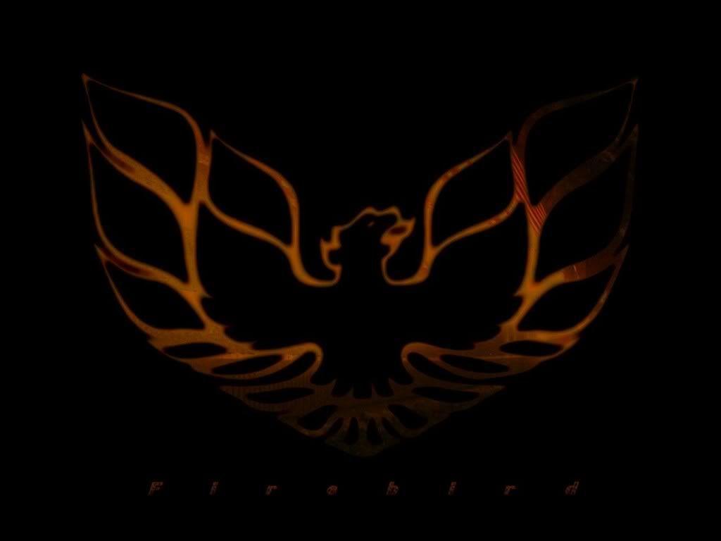 Firebird Wallpapers Wallpaper Cave
