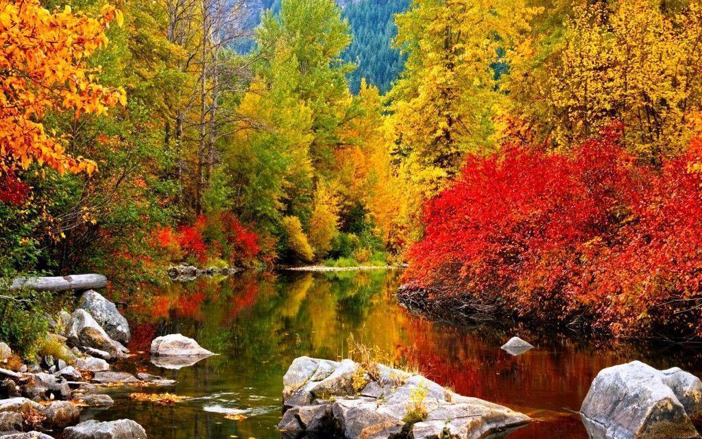 Free Fall Wallpapers Pictures Wallpaper Cave