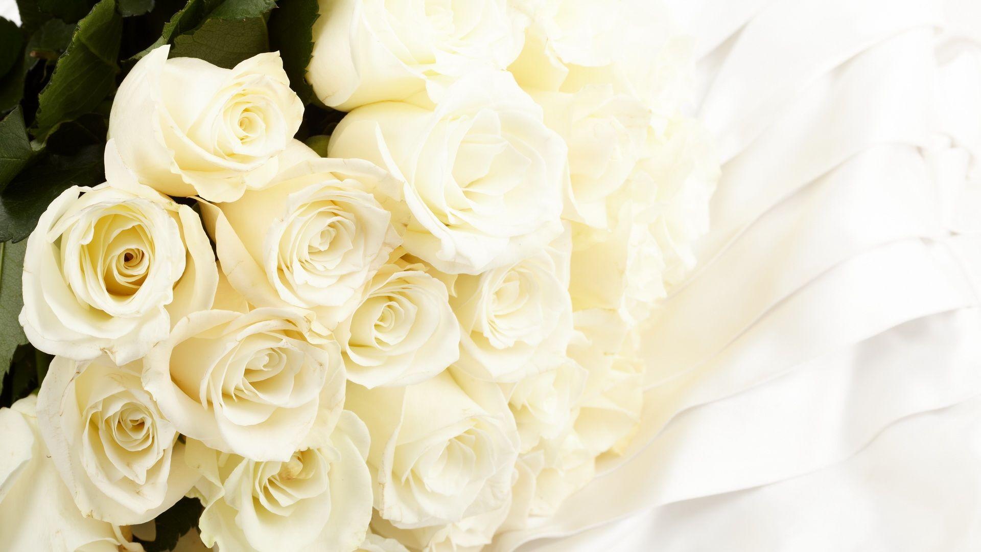 White Roses Wallpapers Wallpaper Cave