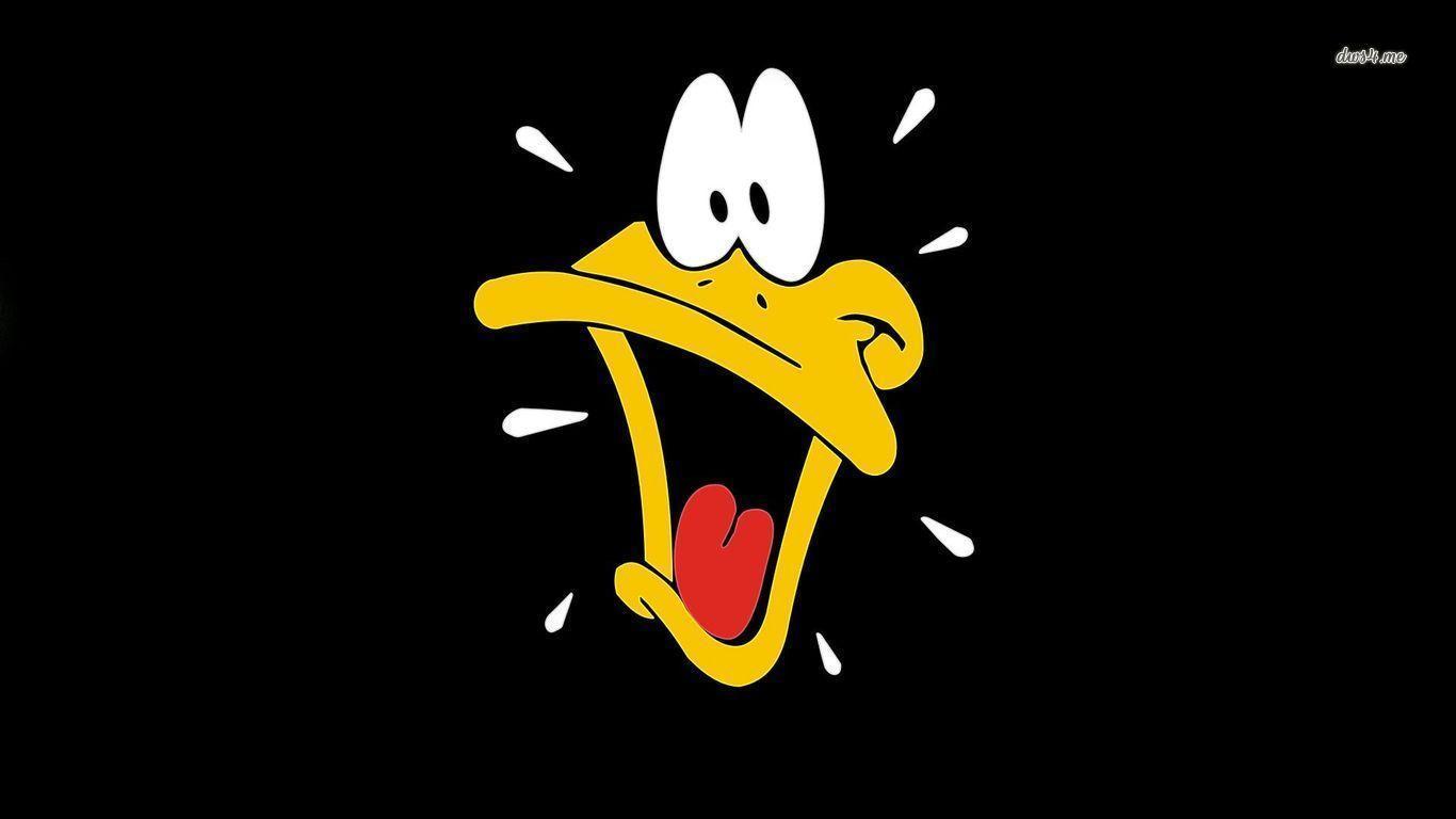 Daffy Duck Wallpapers Wallpaper Cave