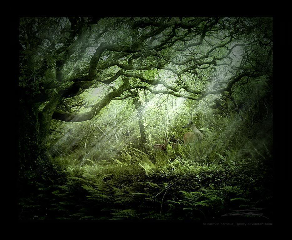 Gothic Backgrounds Wallpaper Cave