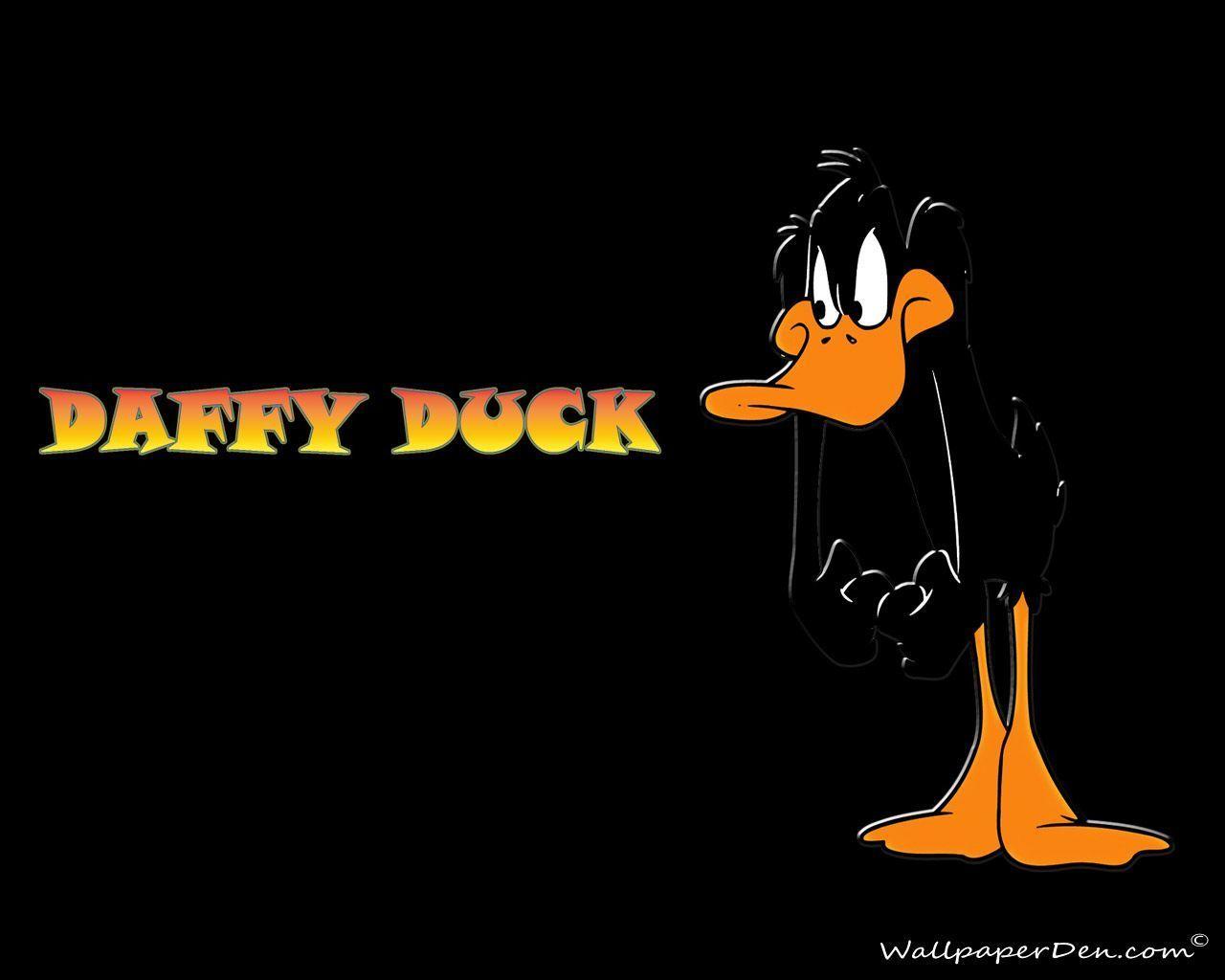 Daffy Duck Wallpapers Wallpaper Cave