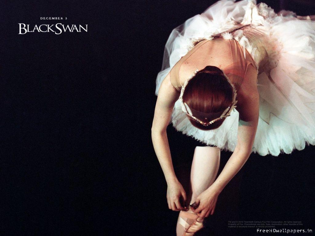 Black Swan Wallpapers Wallpaper Cave
