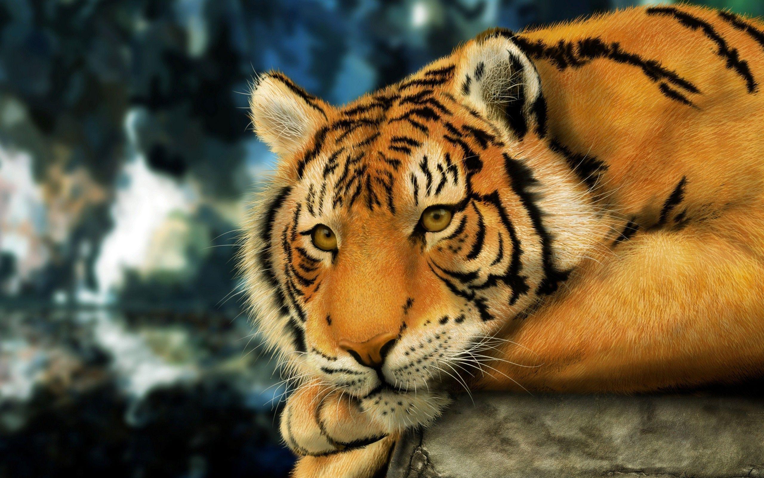 Mac Tiger Wallpapers Wallpaper Cave