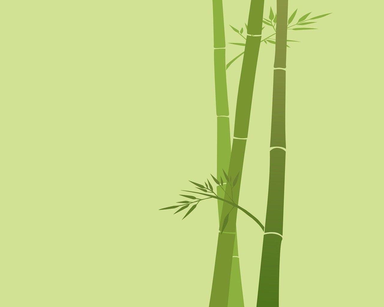 Green Bamboo Wallpapers Wallpaper Cave