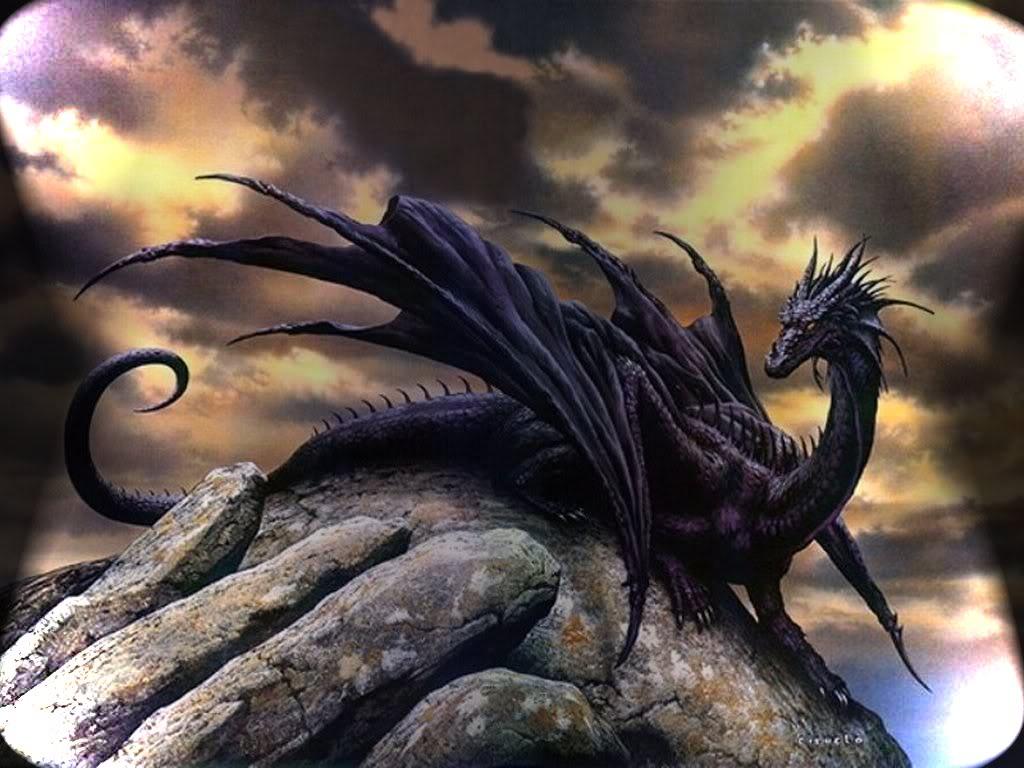 Black Dragon Wallpapers Wallpaper Cave