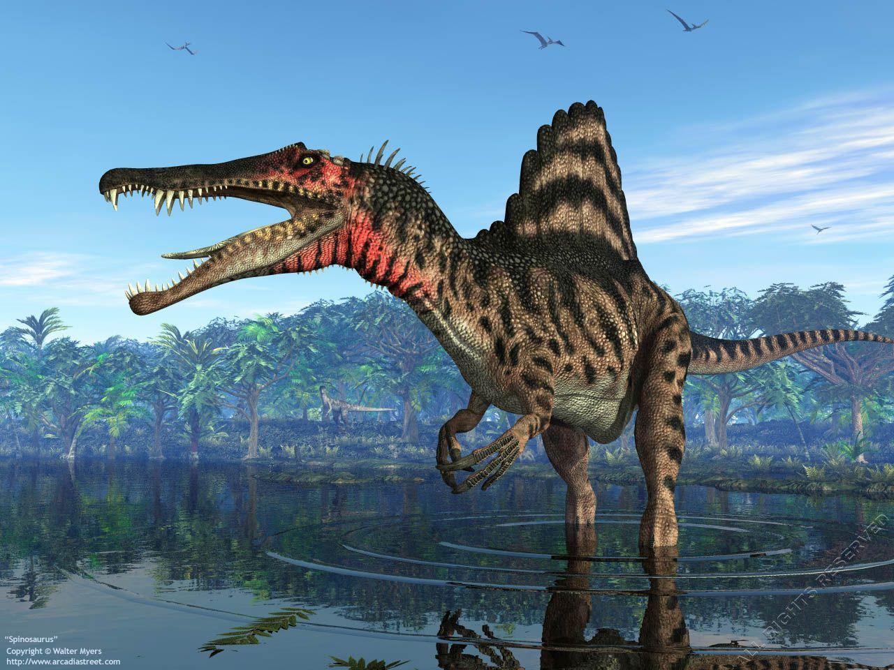 Spinosaurus Wallpapers Wallpaper Cave