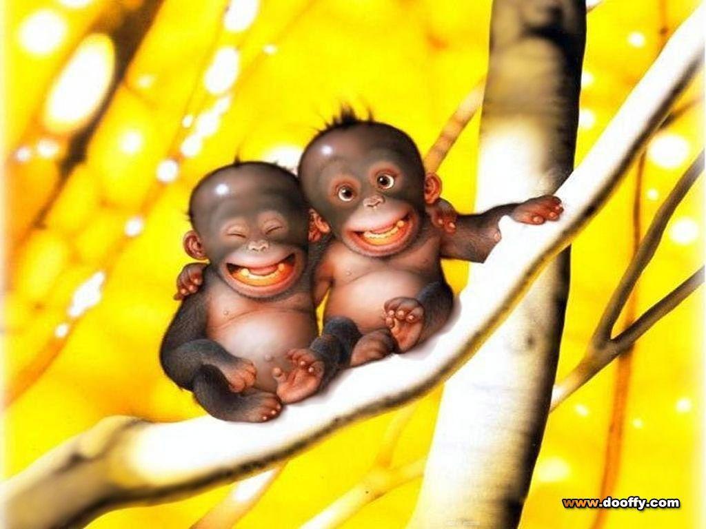 Cute Monkey Wallpapers Wallpaper Cave