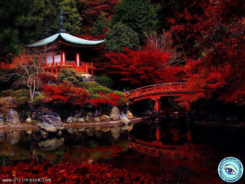 Red Nature Wallpapers Wallpaper Cave