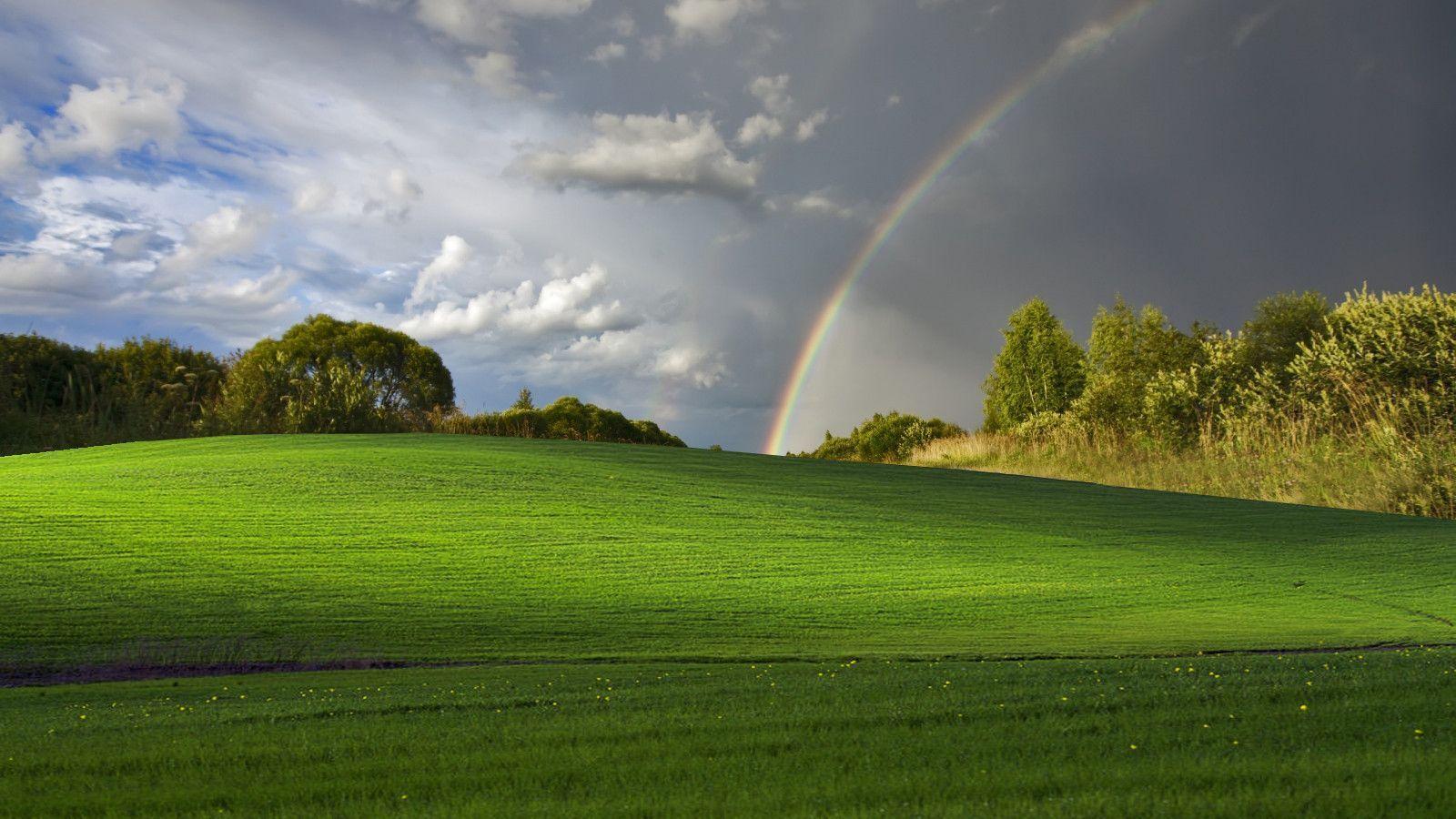 Windows XP Wallpapers Bliss Wallpaper Cave
