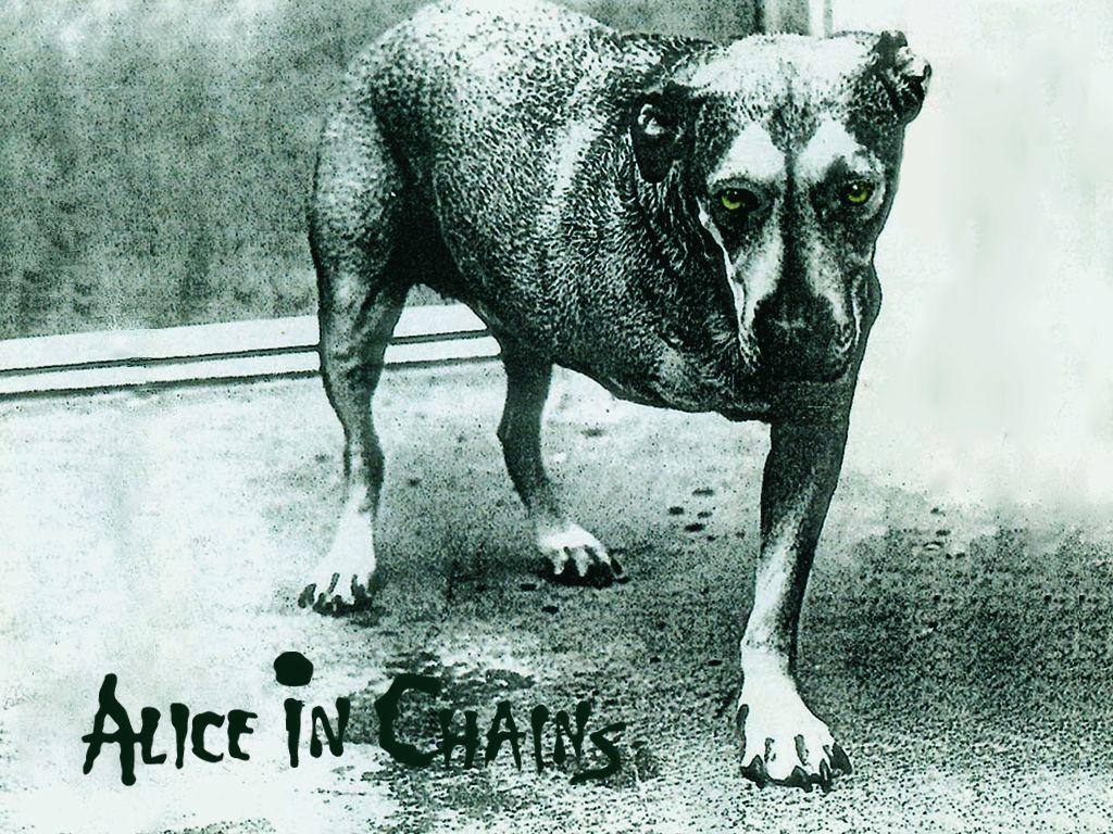 Alice In Chains Wallpapers Wallpaper Cave