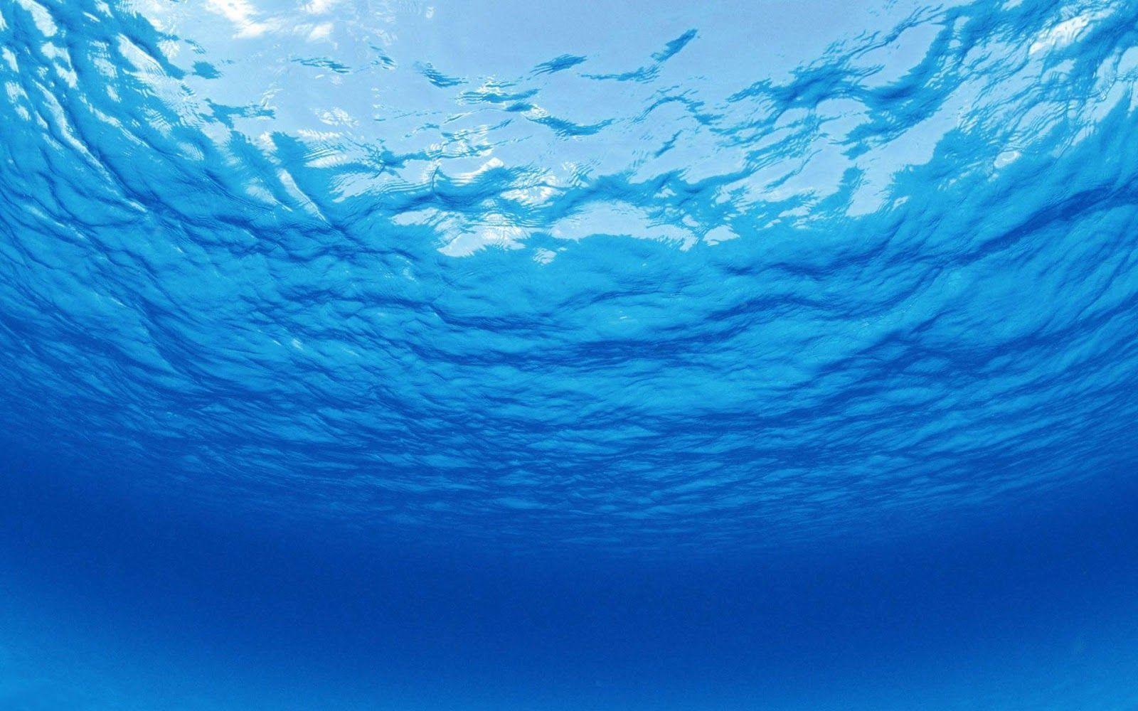 Under Ocean Wallpapers Wallpaper Cave