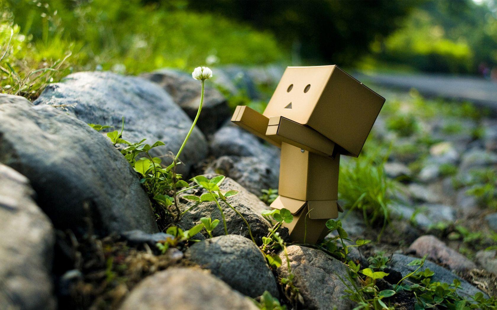 Danbo Wallpapers Wallpaper Cave