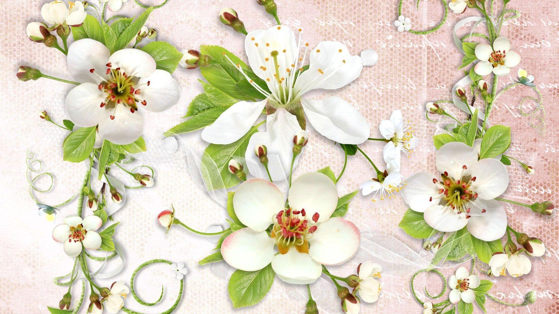 Apple Blossom Wallpapers Wallpaper Cave