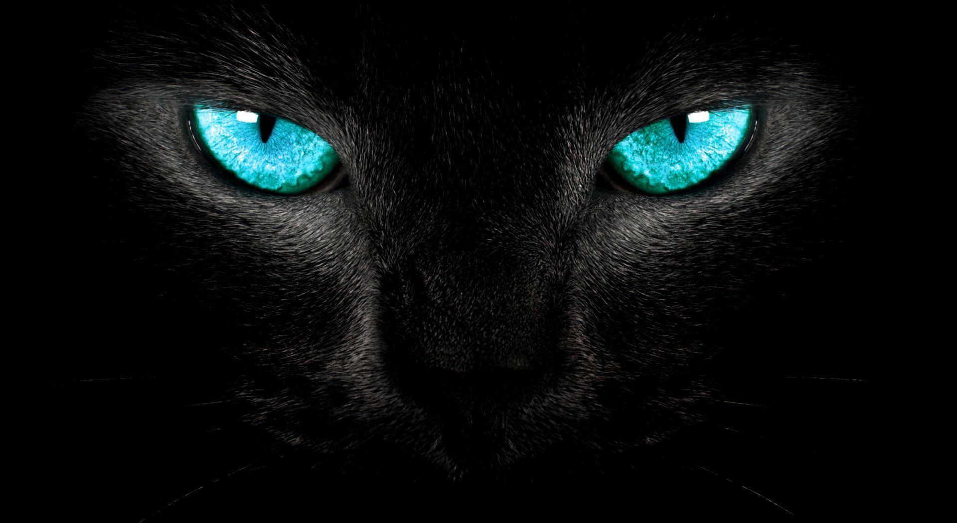 Blue Eyes Wallpapers Wallpaper Cave