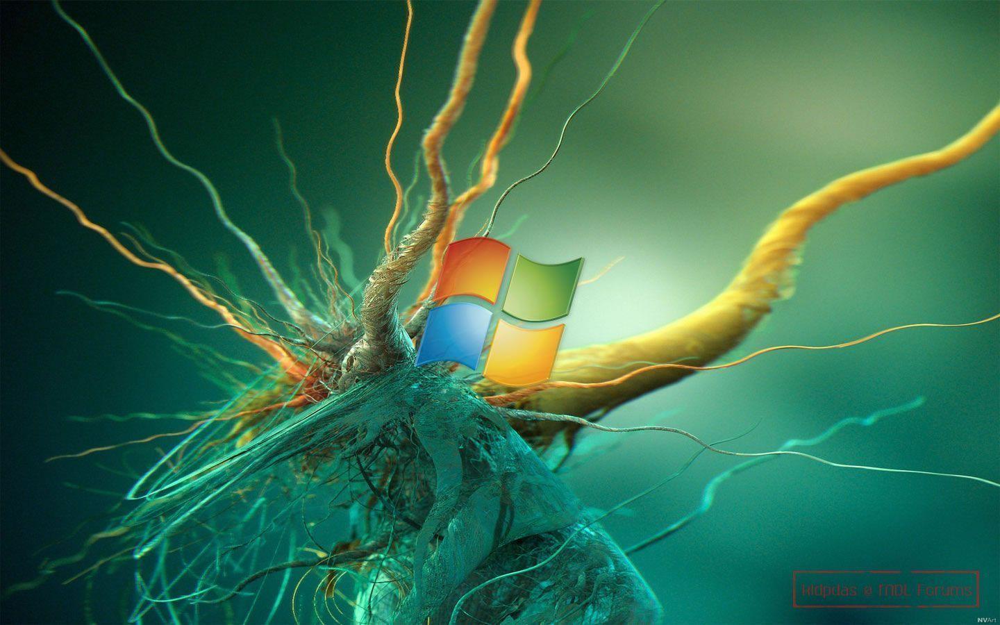 Windows 8 Wallpapers Wallpaper Cave
