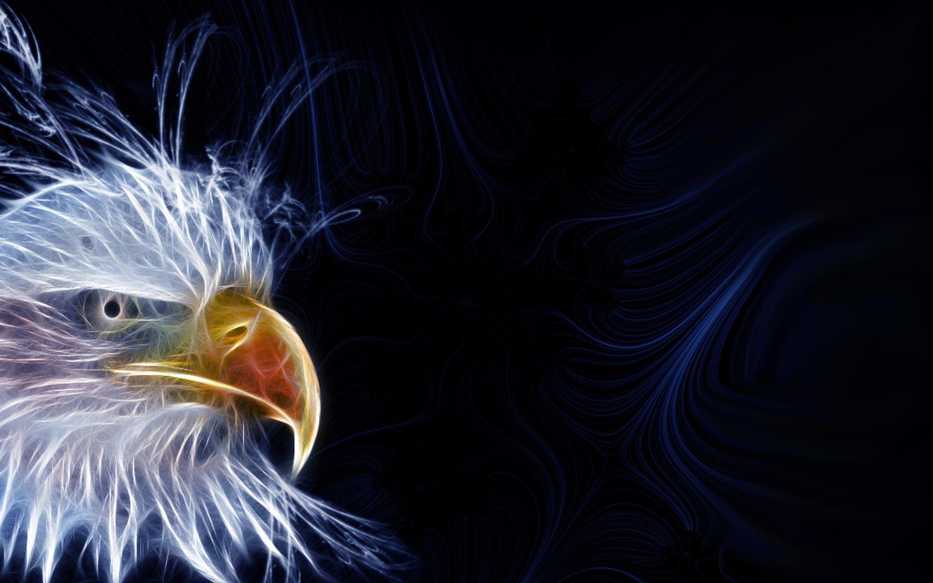 Eagle Desktop Wallpapers Wallpaper Cave