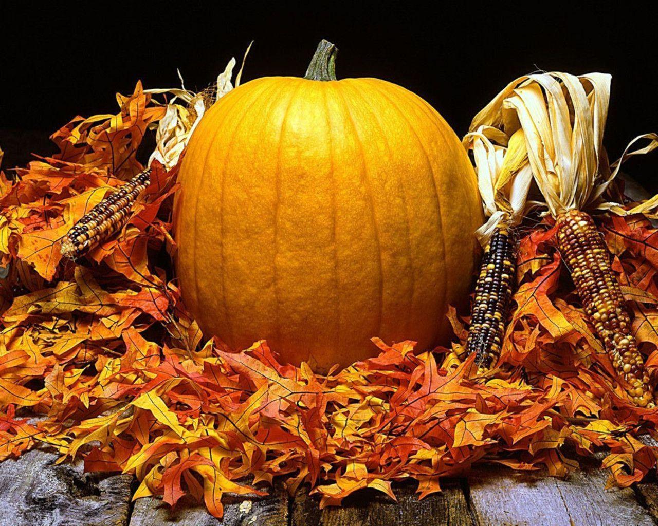 Harvest stock photos and images (1,243,270)