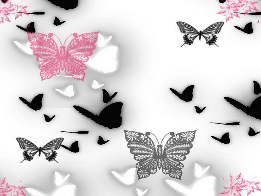 Black Butterfly Wallpapers Wallpaper Cave