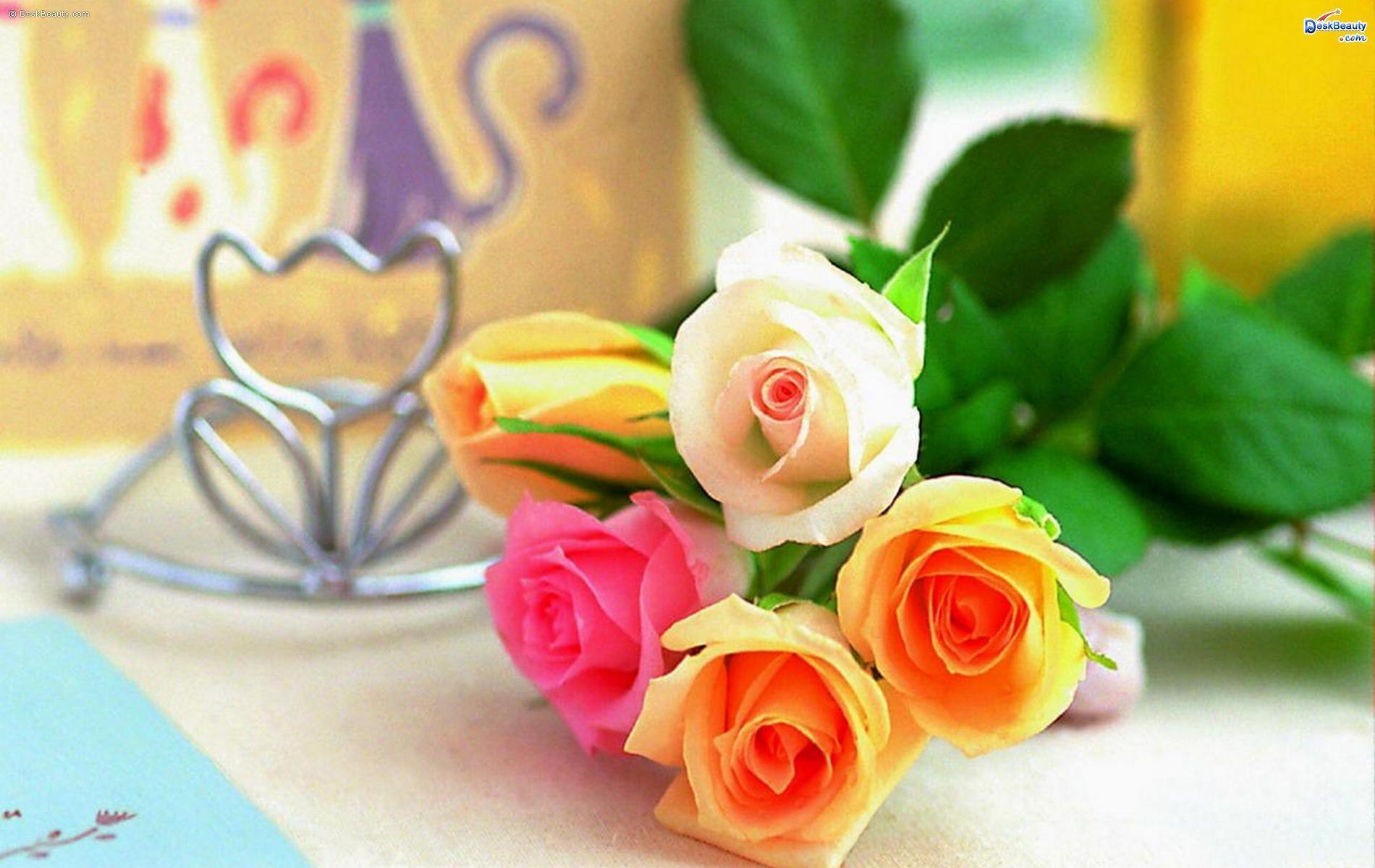 New Flower Wallpapers Wallpaper Cave