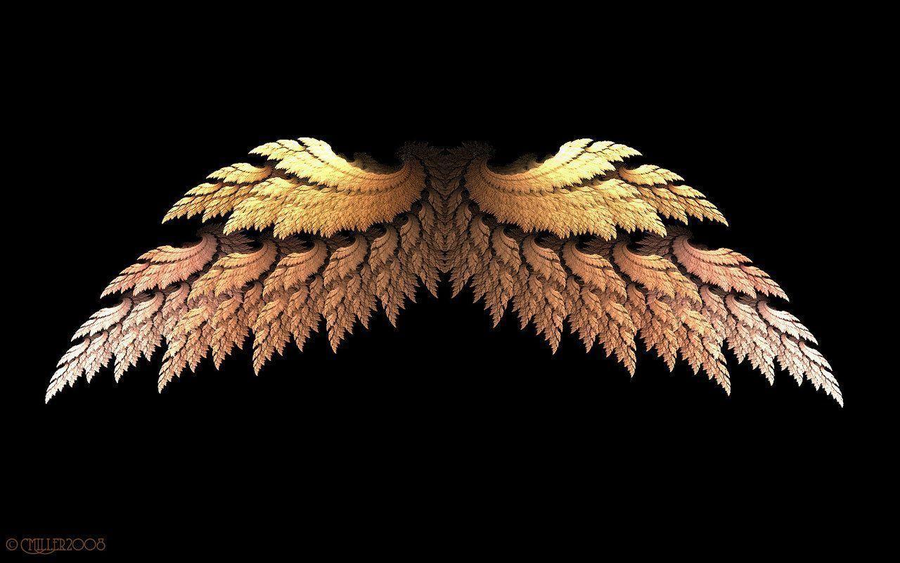 Angel Wings Wallpapers Wallpaper Cave