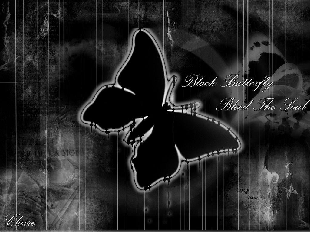 Black Butterfly Wallpapers Wallpaper Cave