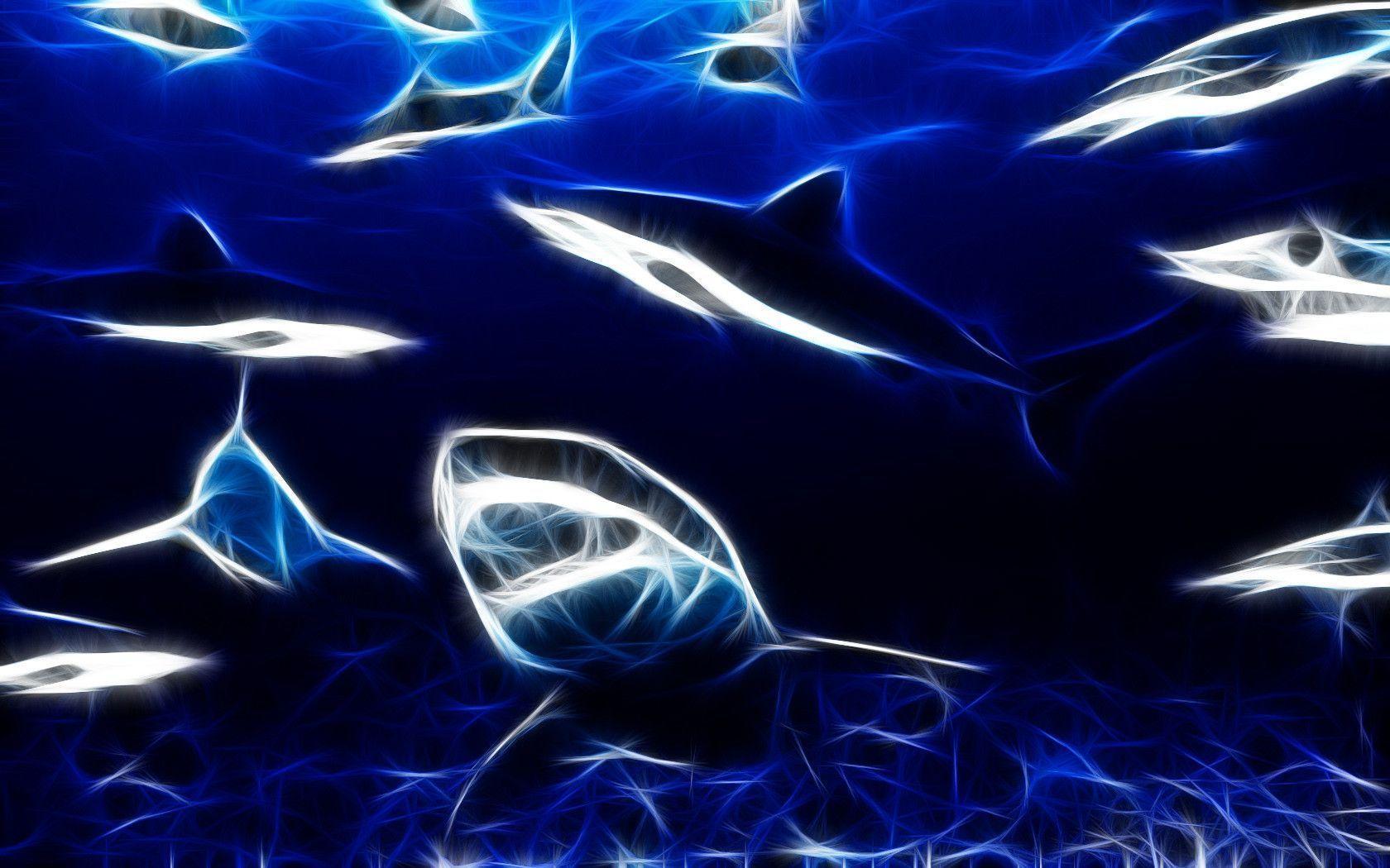 Free Shark Wallpapers Wallpaper Cave