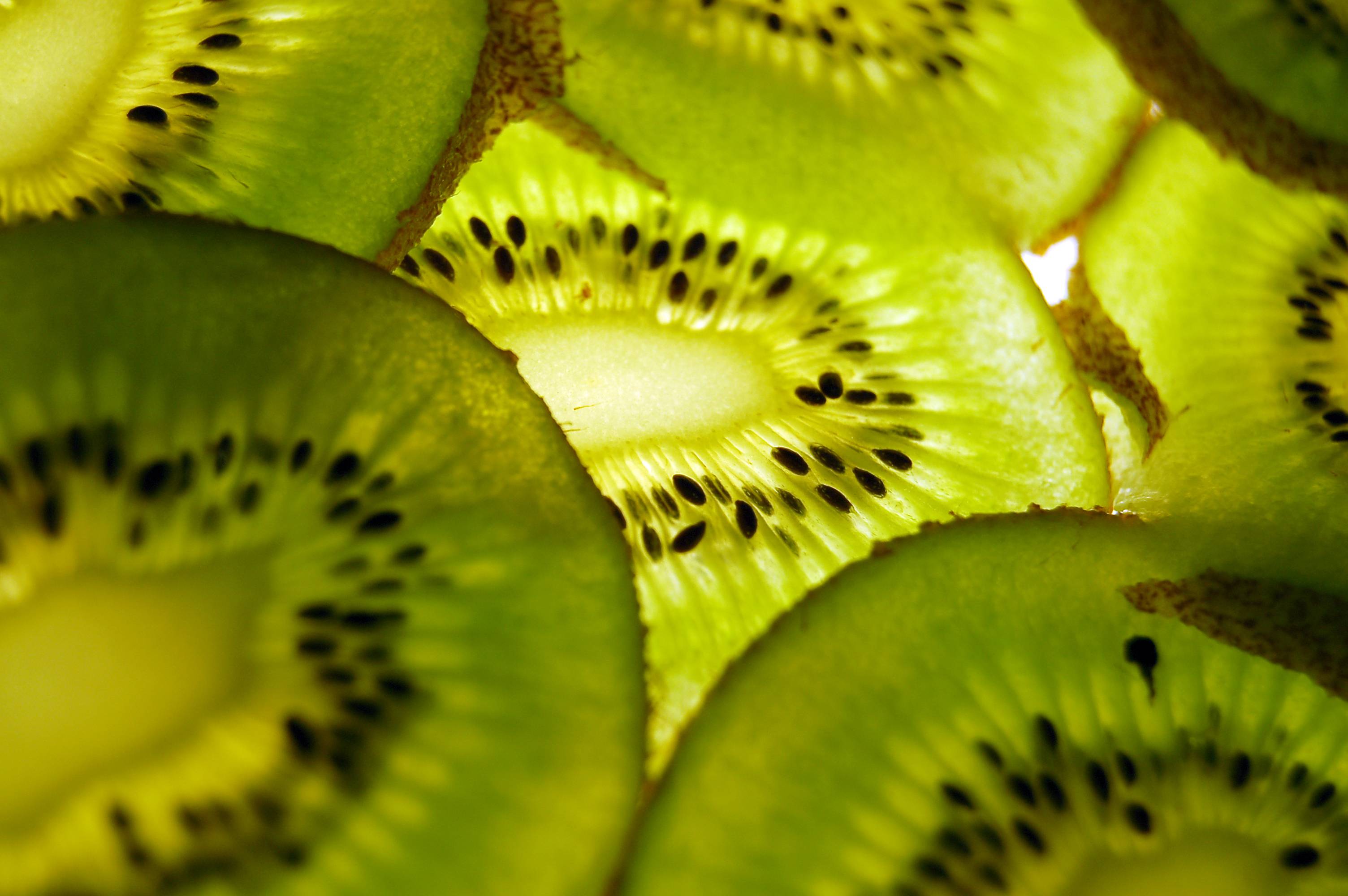 Kiwi Wallpapers Wallpaper Cave