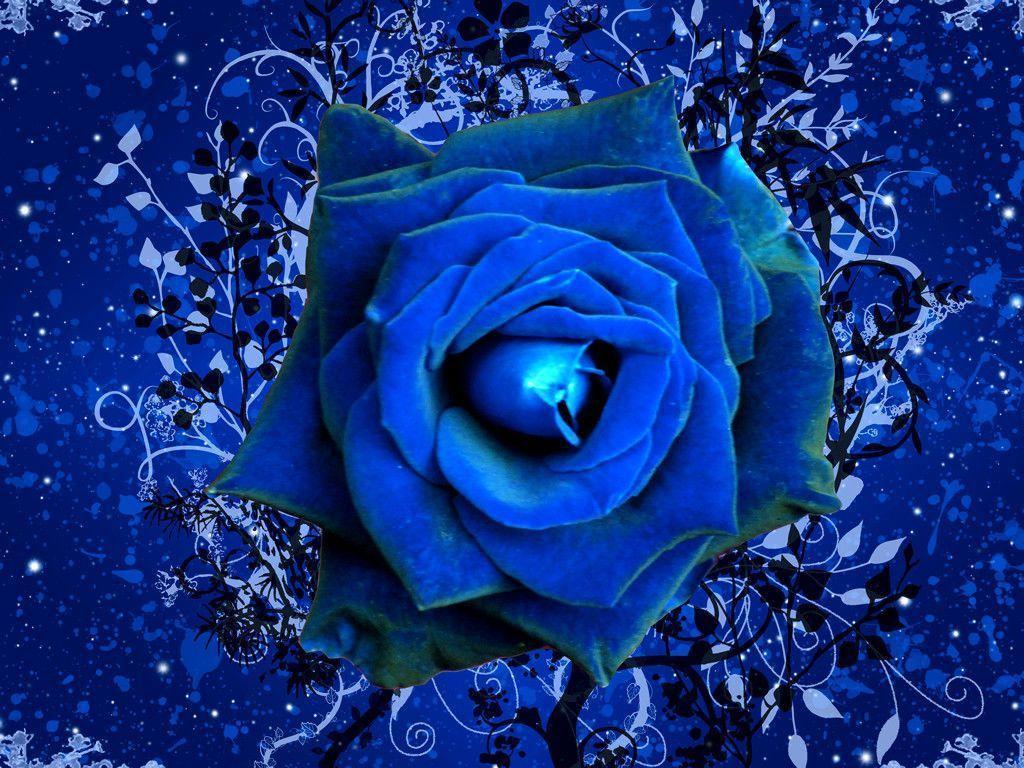 Free Blue Rose Wallpapers Wallpaper Cave