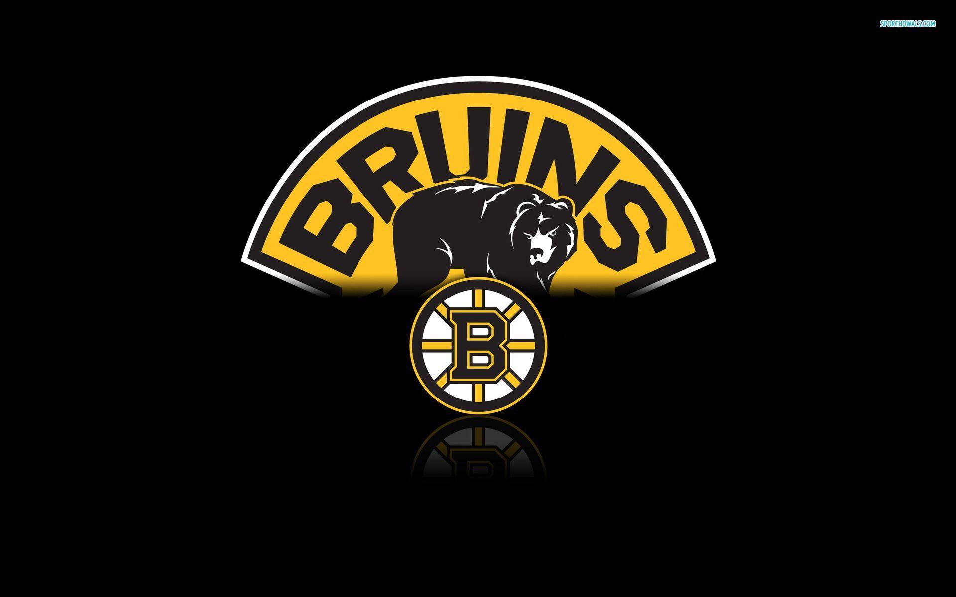Bruins Wallpapers Wallpaper Cave