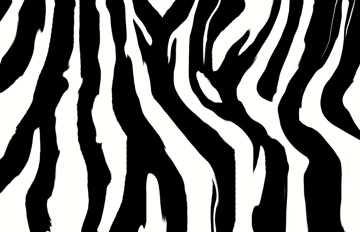 Zebra Backgrounds Wallpaper Cave