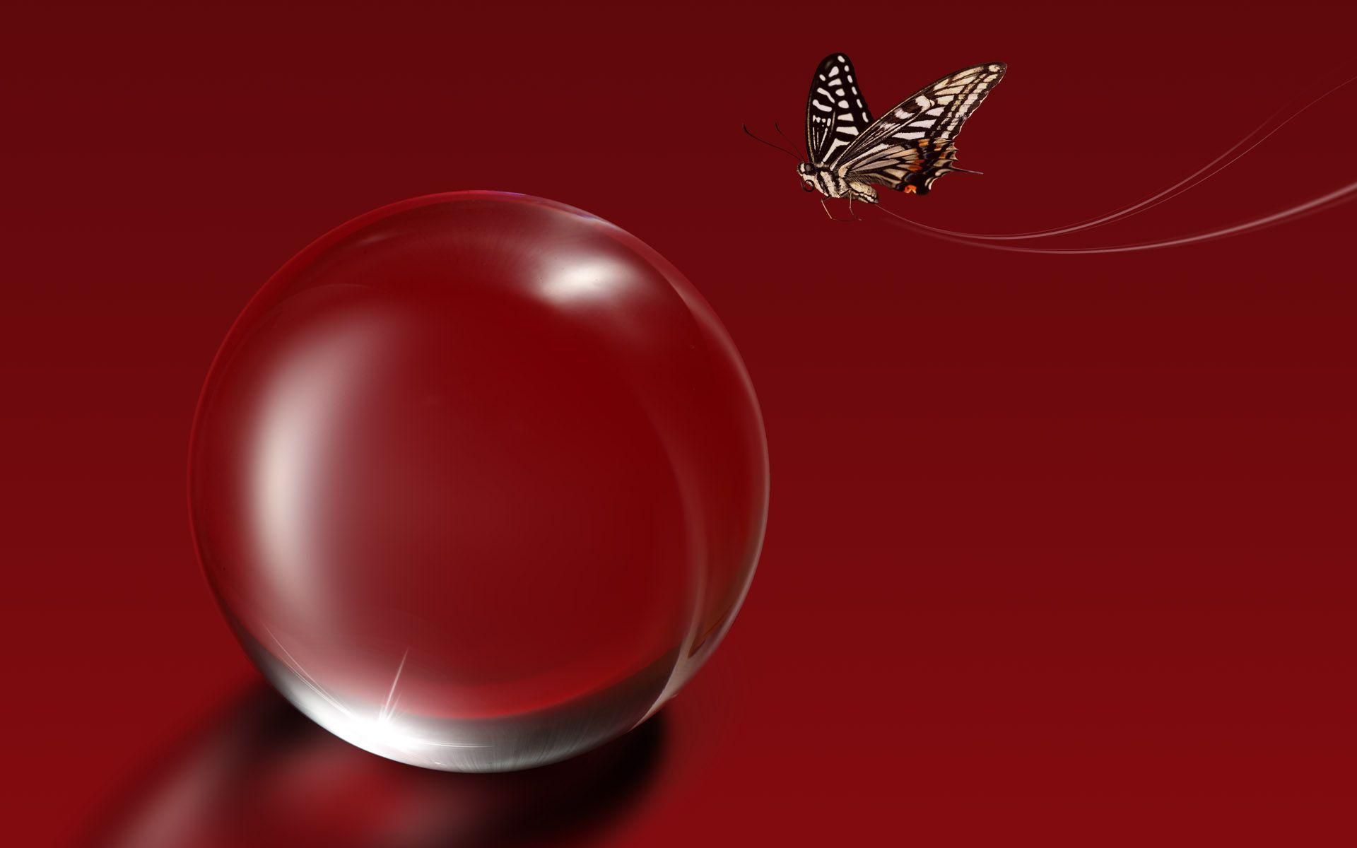 Red Butterfly Wallpapers Wallpaper Cave