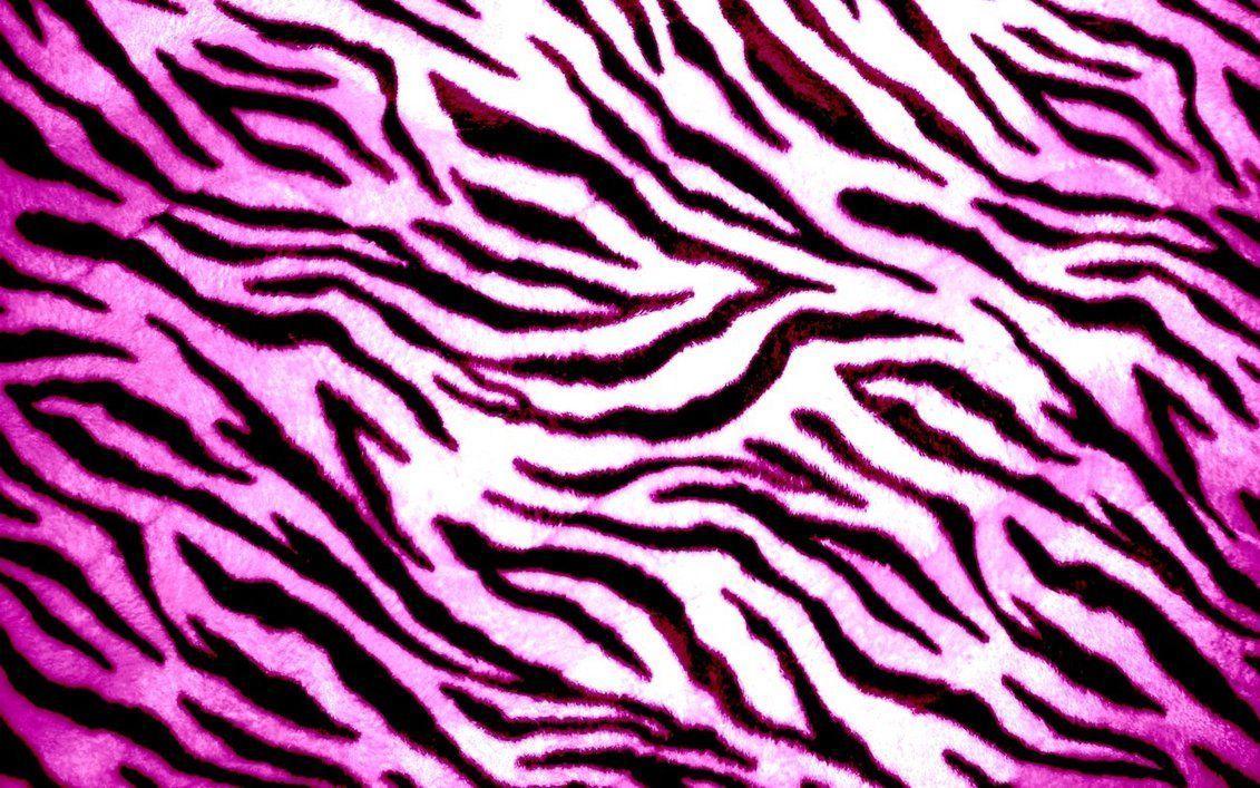 Zebra Backgrounds Wallpaper Cave