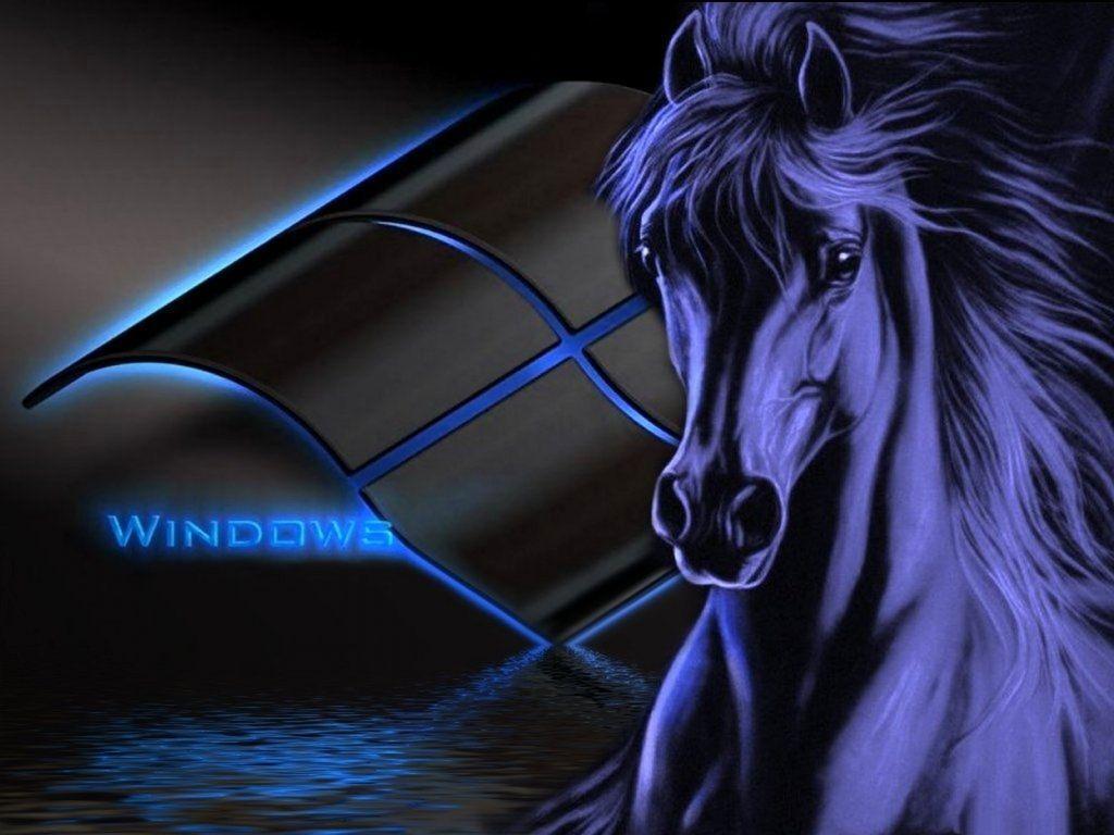 Free Horse Screensavers And Wallpapers Wallpaper Cave