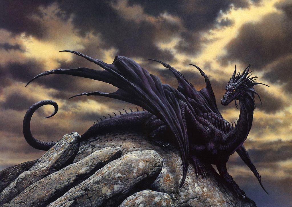 3D Dragon Wallpapers Wallpaper Cave