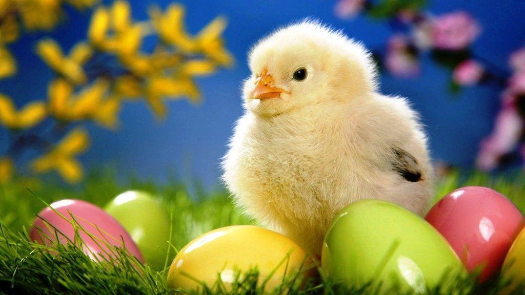 Free Easter Wallpapers For Computer Wallpaper Cave